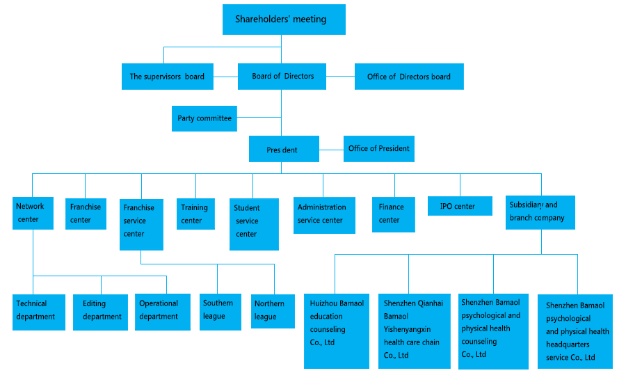 Organization Structure